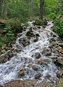 Caledonia State Park waterfall 2