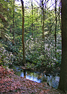 Alan Seegar Natural Area
