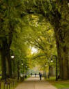 Order Print: Fall in Pugh Mall