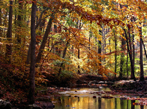 Oak Creek