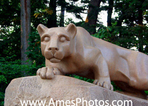 penn state nittany lion photo