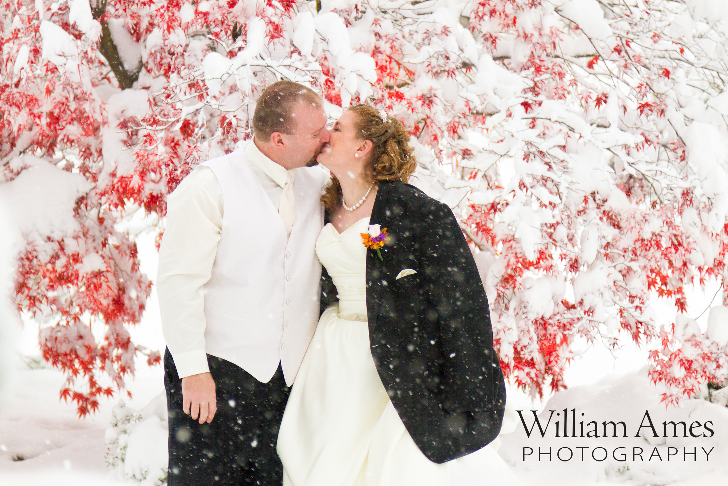 Winter Wedding Portrait in Snow